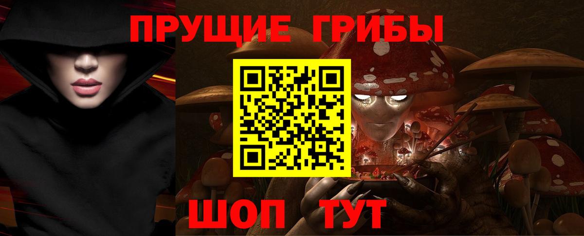 наркотики  Вход с VPN  Псилоцибиновые грибы ЛСД  Аша  Галлюциногенные грибы Cubensis 